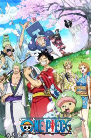 one piece 15973 poster